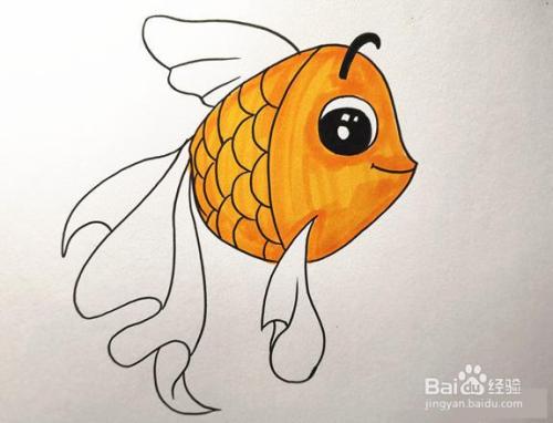 6,用橘黄色涂小金鱼的身体和头部,暗面的颜色深一些.