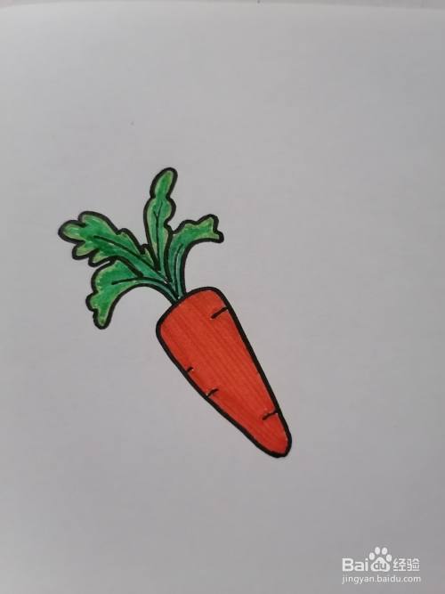 胡萝卜怎么画