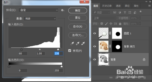 选择背景图层,按下快捷键ctrl shift u去色,或者执行图像,调整,去色