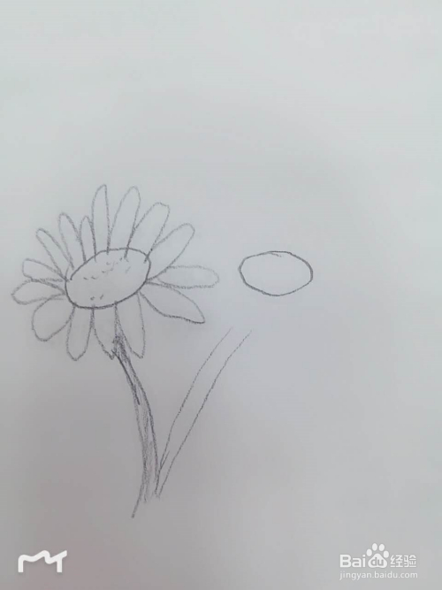 小女花不弃之如何画小花