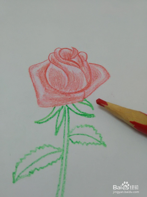 玫瑰花怎么画