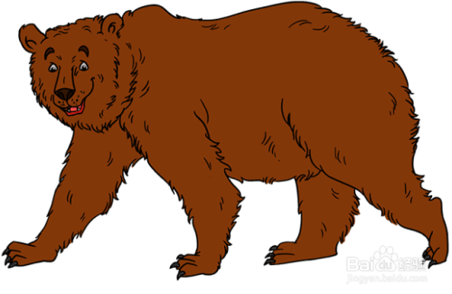 如何画可爱的棕熊?