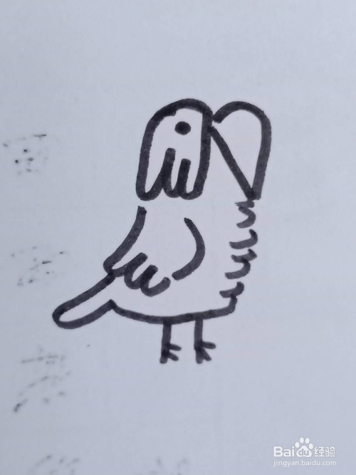 怎样画小鹦鹉?