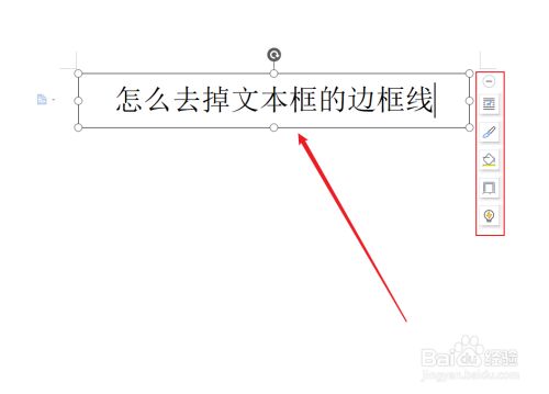 怎么去掉文本框的边框线