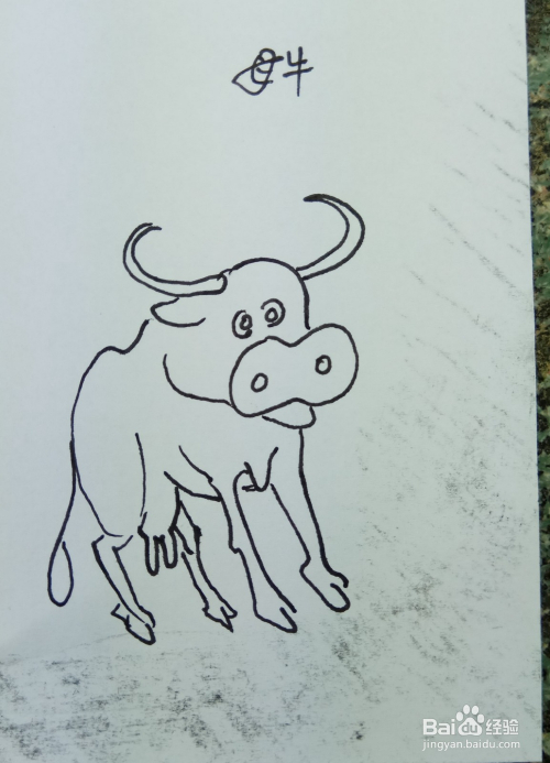 怎样画简笔画"一头母牛?