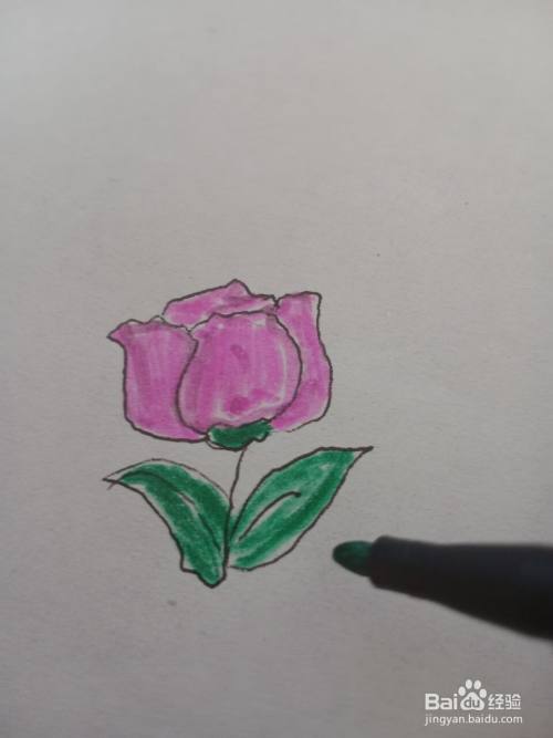 玫瑰花怎么画?