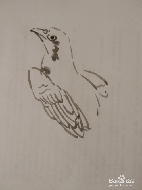 如何用毛笔画信鸽?