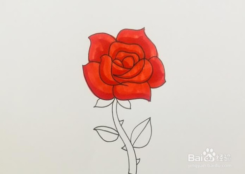 怎样画好一朵美丽的玫瑰花