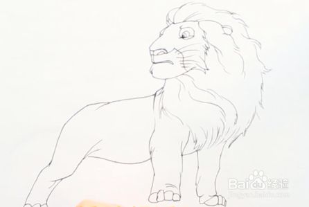 狮子王怎么画