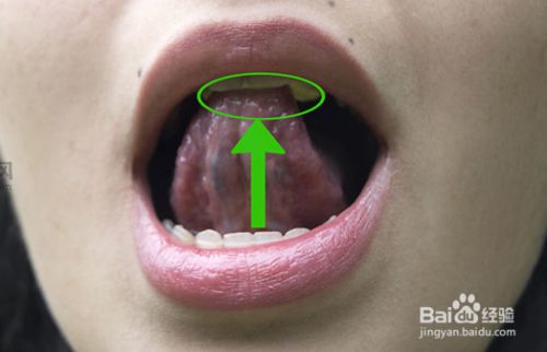 在嘴巴上颚处借助舌头,牙齿将泡泡糖弄扁.