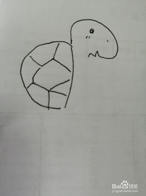 第三步,接着继续画出简笔画可爱的小乌龟的乌龟壳上面的纹路.