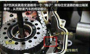 pRNDS分别代表什么档位