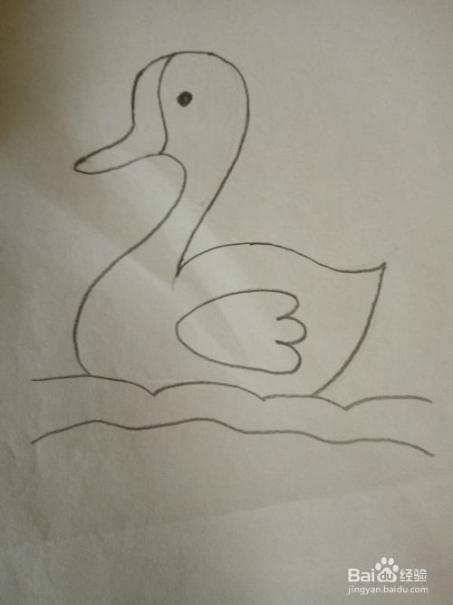 儿童简笔画之游泳的鸭子