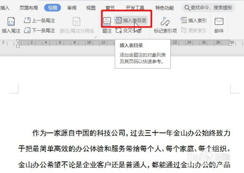 wps word如何插入文档表目录并查阅题注对象列表