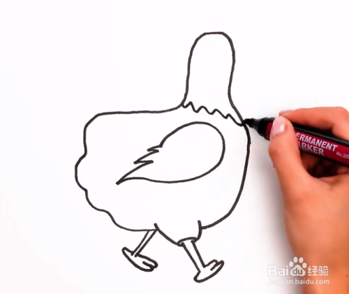 画出母鸡的双脚和翅膀羽毛,如图所示.