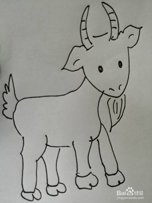 样子特别可爱,今天,小编和小朋友们一起来分享可爱的小山羊的画法