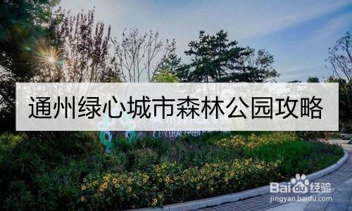 通州绿心城市森林公园攻略