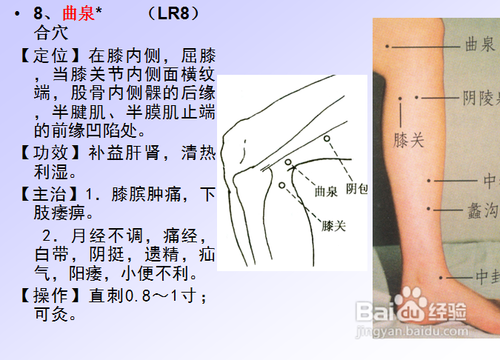 中医经络知识之足厥阴肝经图解