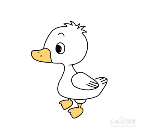 动物简笔画:可爱的小鸭子简笔画
