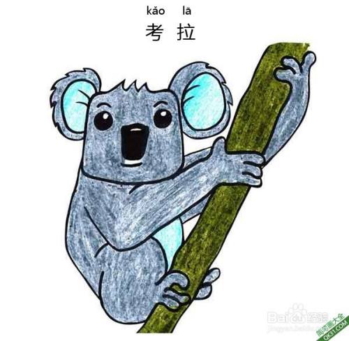怎样教孩子们一步步画卡通考拉koala|简笔画
