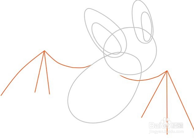 如何画蝙蝠,画蝙蝠教程