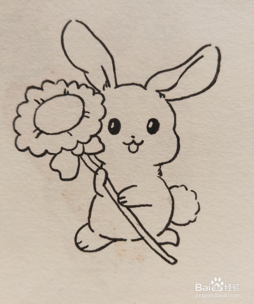 怎样画简笔画——拿着向日葵的小兔子