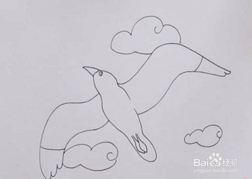 海鸥怎么画?