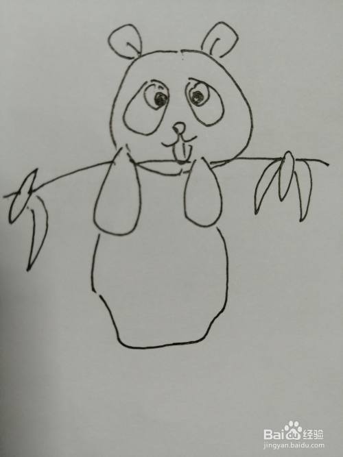 第六步,然后我们继续画出可爱的小熊猫的圆圆的身体,画出一个简单的