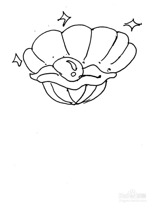 贝壳里的珍珠简笔画