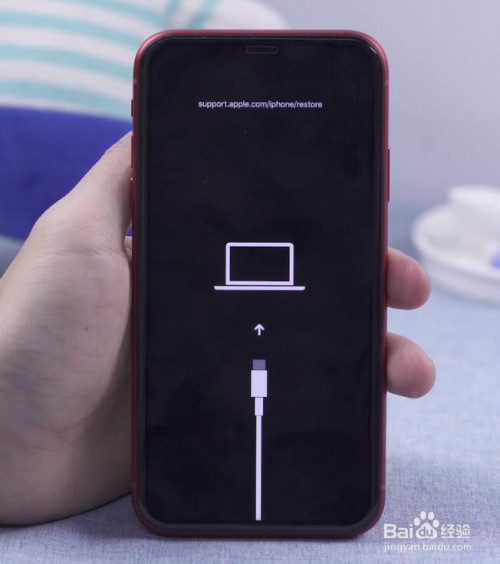 直到进入iphone恢复模式,如果没能进入恢复模式,则多尝试几次.