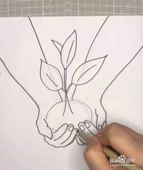再画出捧着小树苗的一双手,注意要画出根根分明的手指,以及手指上的