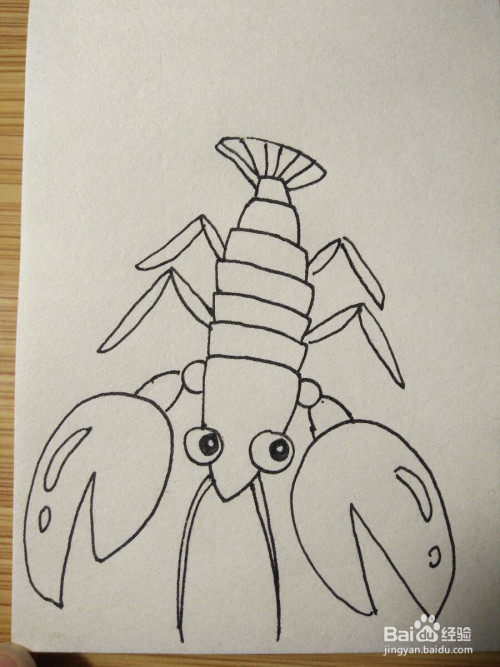 大龙虾简笔画怎么画