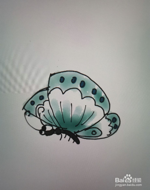 蝴蝶简笔画怎么画