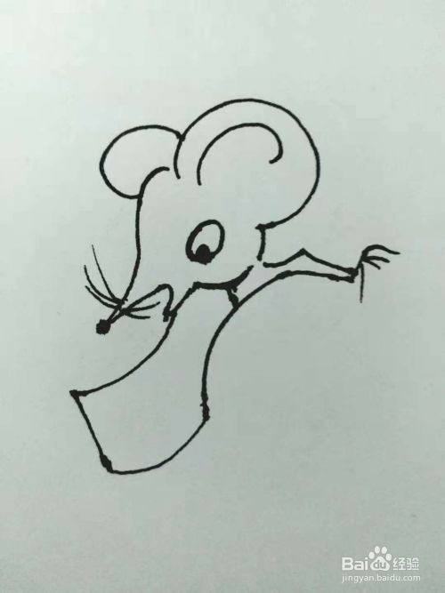 老鼠的简笔画法3