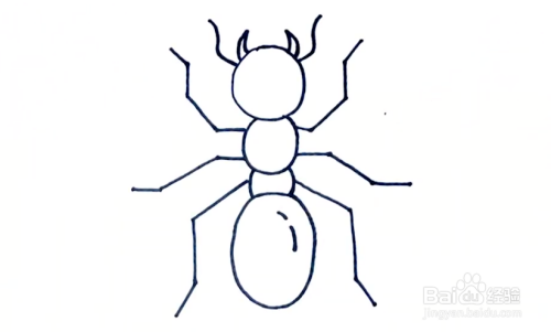 少儿简笔画如何用彩笔一笔一笔画蚂蚁