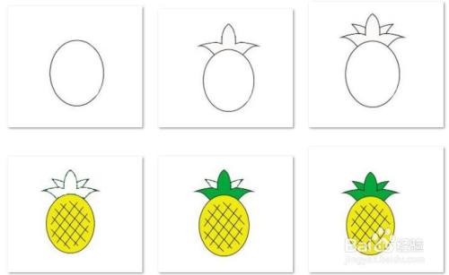 儿童彩色简笔画-彩色菠萝的简笔画法