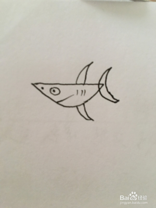 幼儿简单笔画海洋鱼