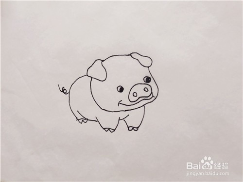少儿简笔画——如何一笔一笔画出小猪?