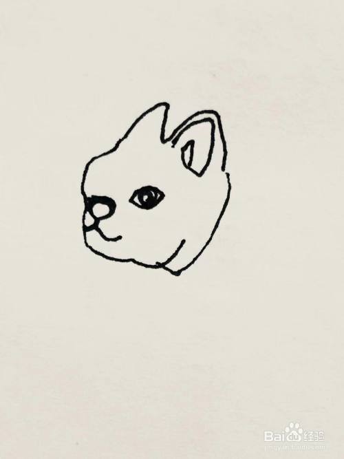 我们用笔画出法斗犬的耳朵,眼睛,鼻子和嘴巴.