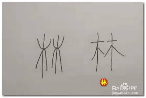 林的造字方法