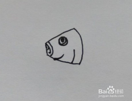 如何画金鱼的简笔画