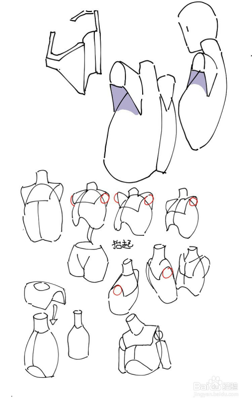 人体绘画中肩部(腋下)如何画?