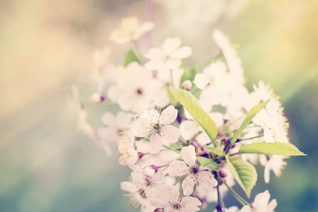 英文句子唯美简短有哪些-百度经验