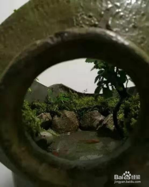 酒坛酒瓶别扔,切2刀,就是超美盆景,美死了