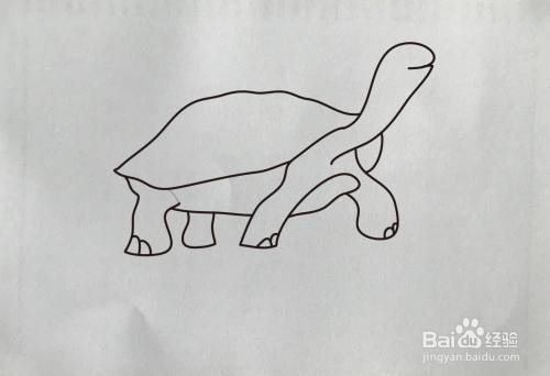 【简笔画】象龟的画法