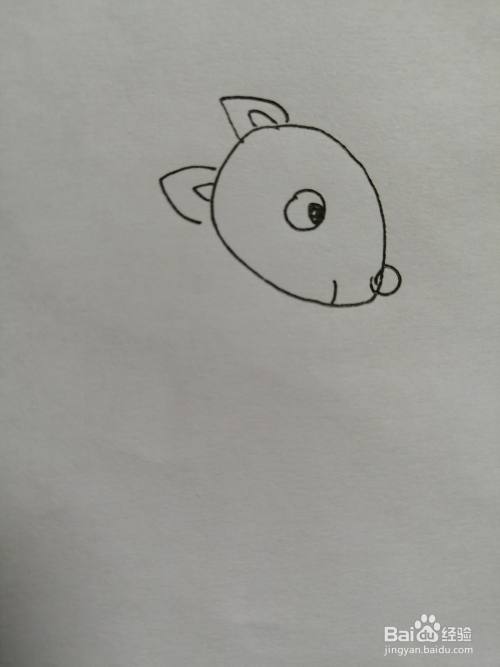 可爱的小松鼠怎么画