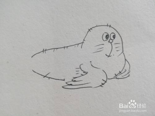 怎么画卡通海狮