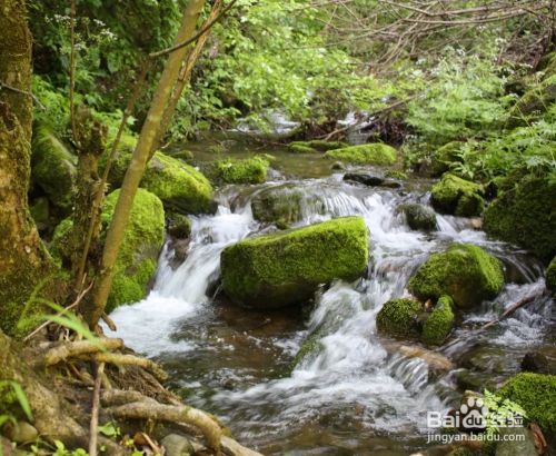 秦岭山有什么好玩的景区地方