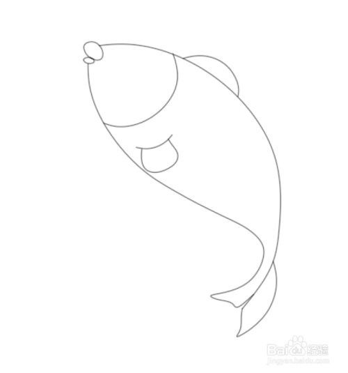 简笔画--如何画跃出水面的鲤鱼
