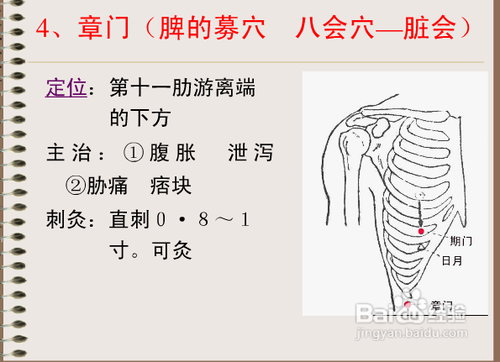 腰痛,胸满,呃逆,遗尿,小便不利,疝气,少腹肿等 主治要点 肝胆病:胁痛